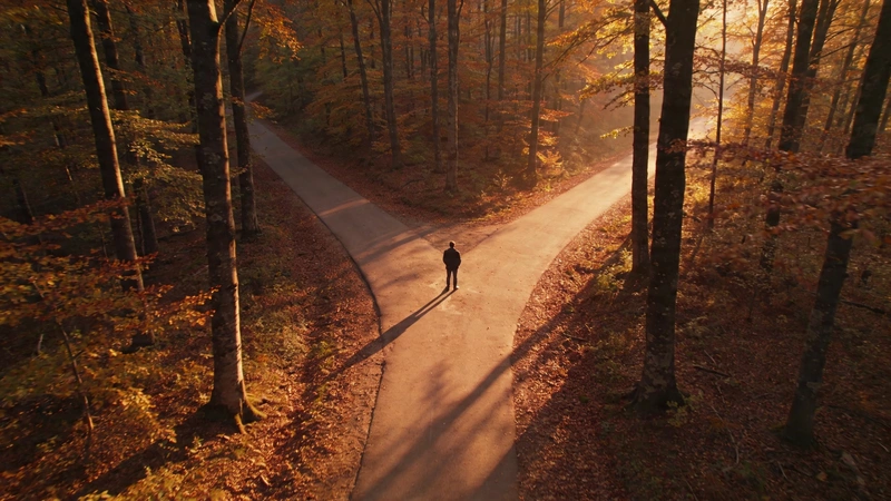 Kariéra – človek stojí na križovatke cesty v lese